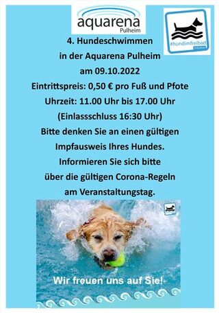 Hundeschwimmen Plakat