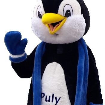 Puli, Pinguin