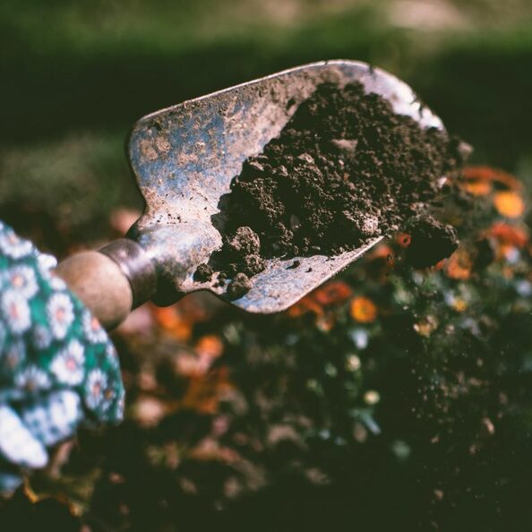 Eine Handschaufel voller frischer Gartenerde, die von einer Hand in einem geblümten Gartenhandschuh steckt hält